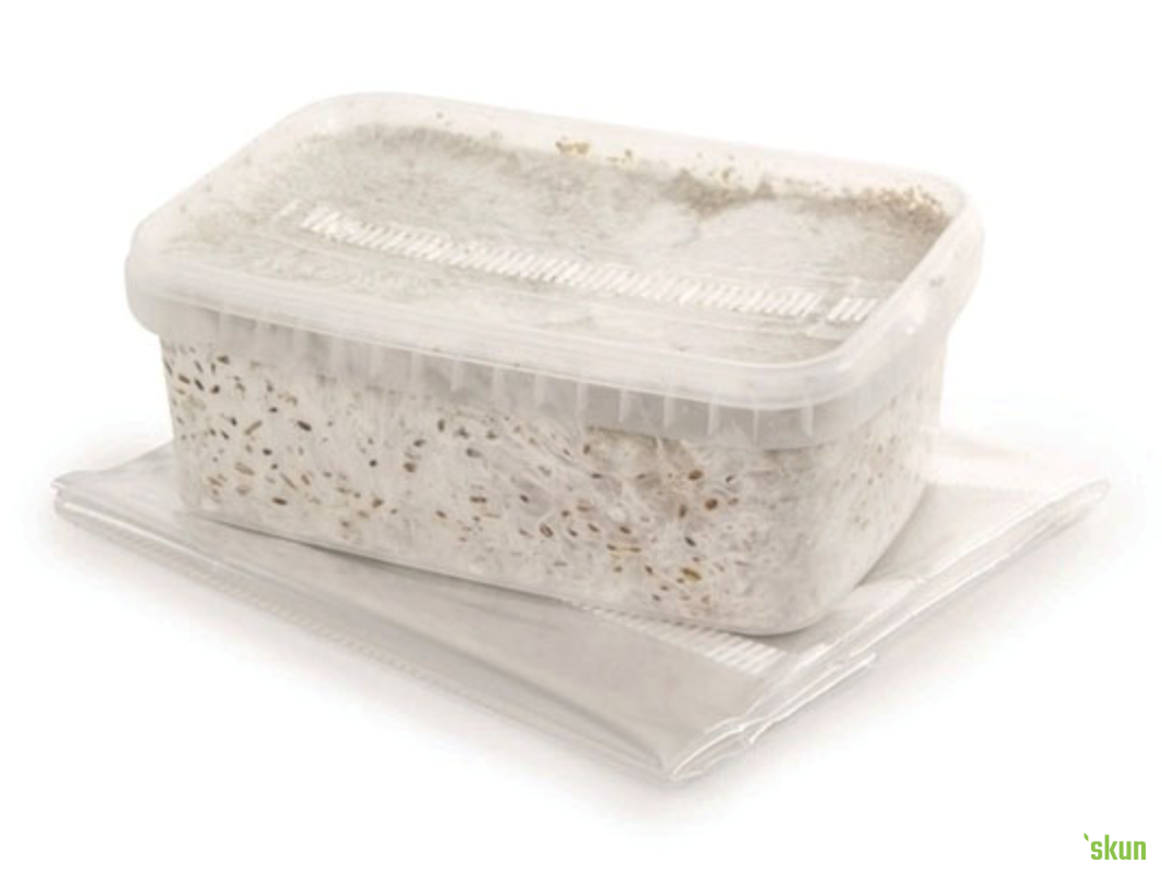 growkit waikiki waves 1200cc