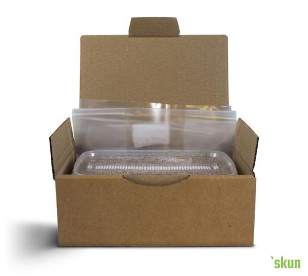 growkit waikiki waves 1200cc