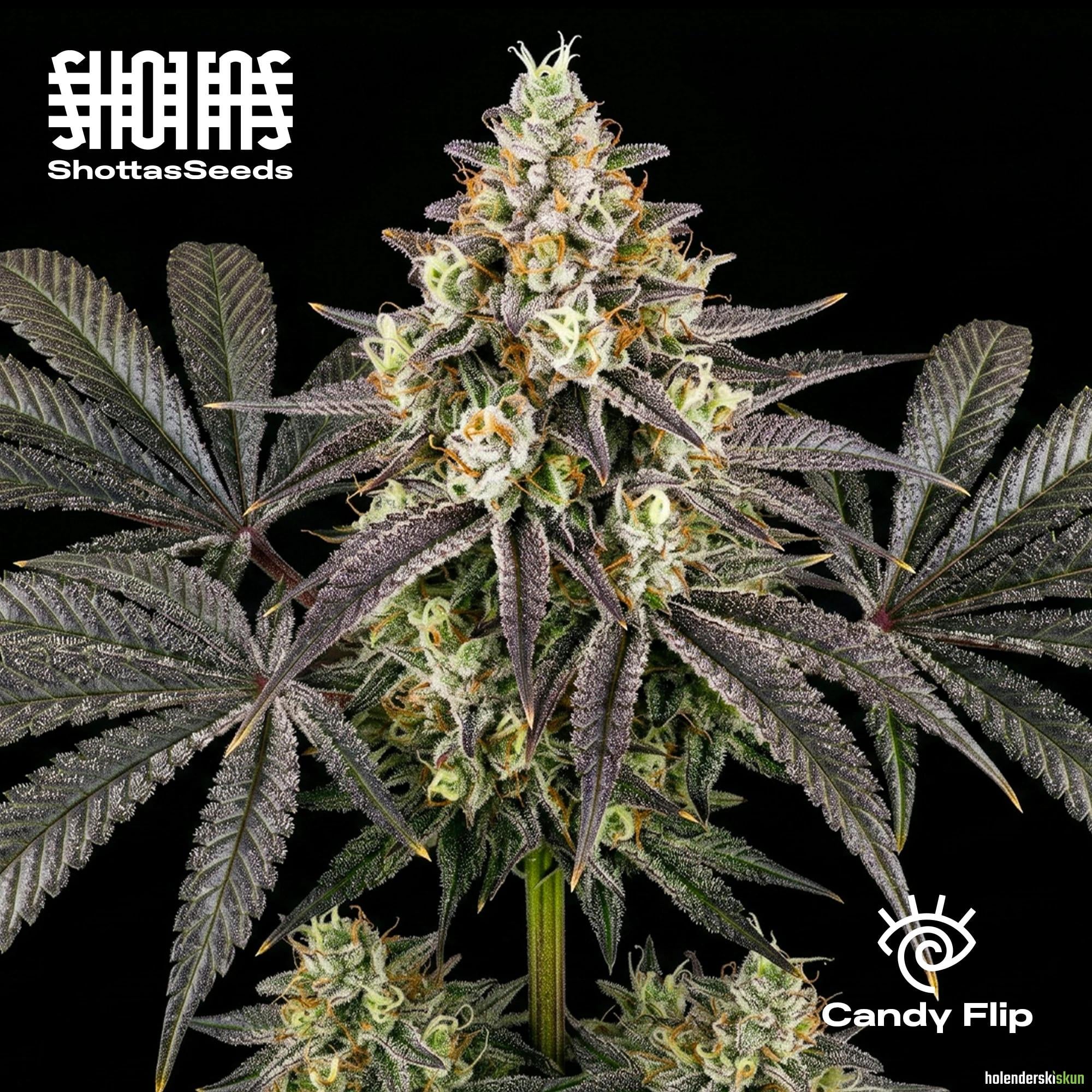 candy flip