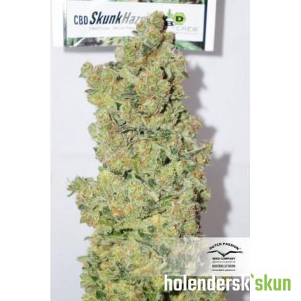 cbd skunk haze