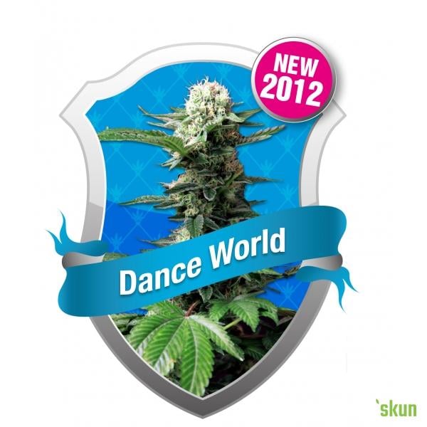 dance world cbd