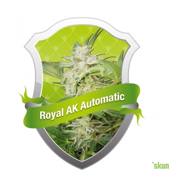 royal ak automatic