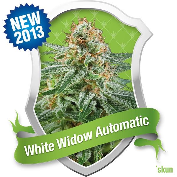 white widow automatic