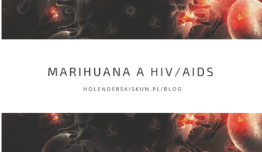 marihuana a HIV