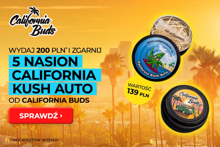 California Kush Auto Gratis