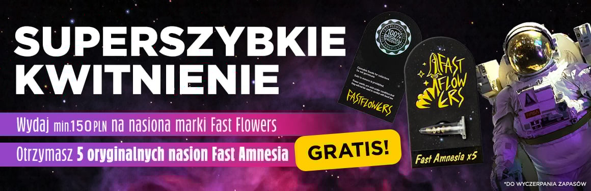 5x Fast Amnesia Gratis