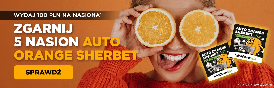 Auto Orange Sherbet Gratis