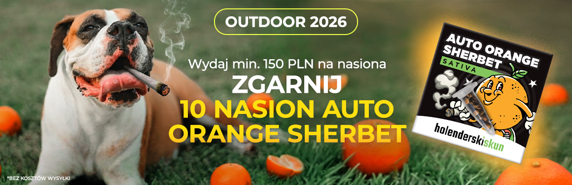 Auto Orange Sherbet Gratis