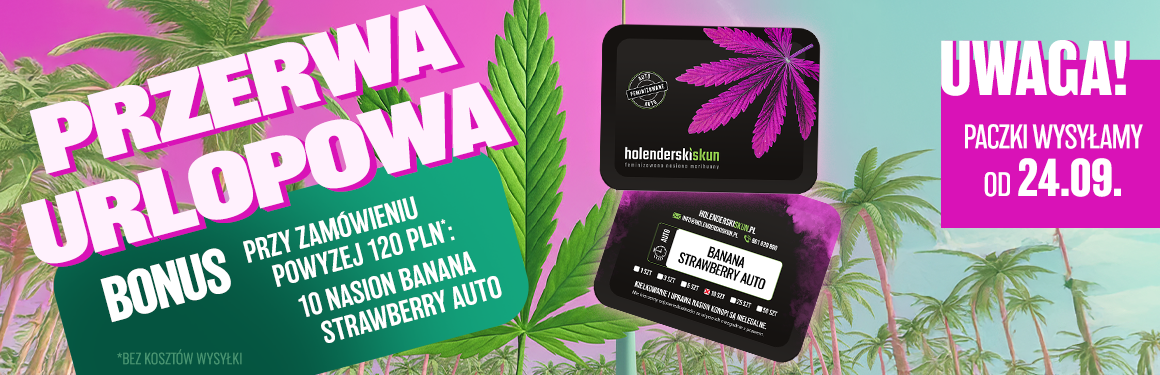 Przerwa Urlopowa