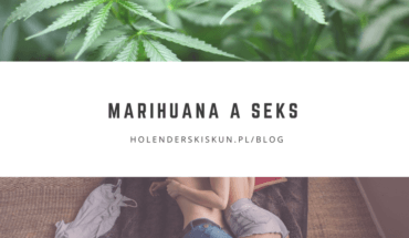 marihuana a seks