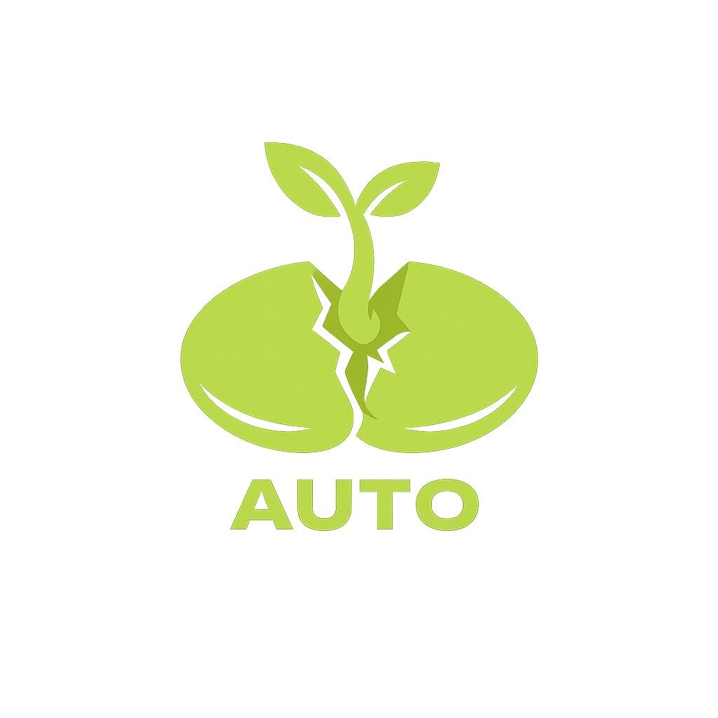 Top 10 Automatów